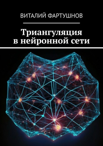 Триангуляция в нейронной сети. Виталий Фартушнов