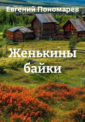 Евгений Валерьевич Пономарев. Женькины байки