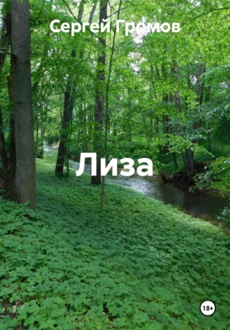Сергей Громов. Лиза