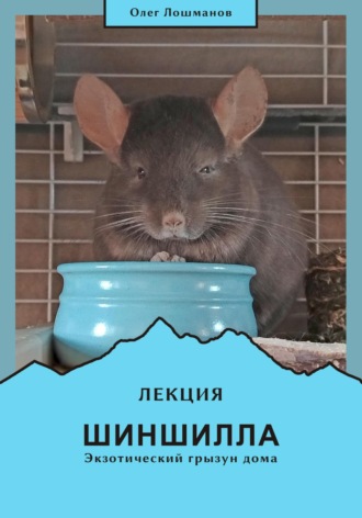 Олег Лошманов. Шиншилла – экзотический грызун дома