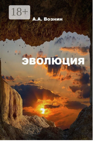 Андрей Вознин. Эволюция