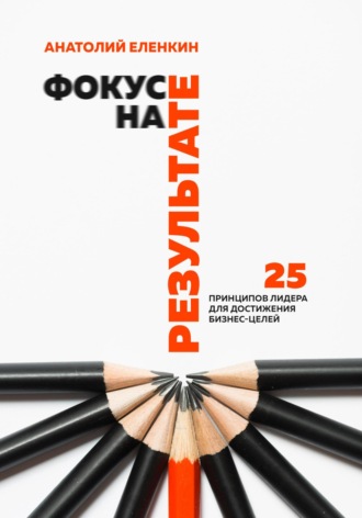 Анатолий Еленкин. Фокус на результате