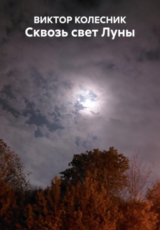 Сквозь свет Луны. ВИКТОР КОЛЕСНИК
