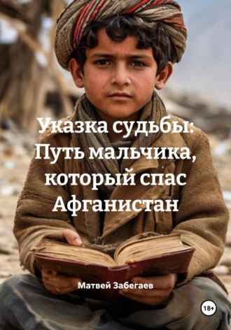 Матвей Александрович Забегаев. Указка судьбы: Путь мальчика, который спас Афганистан