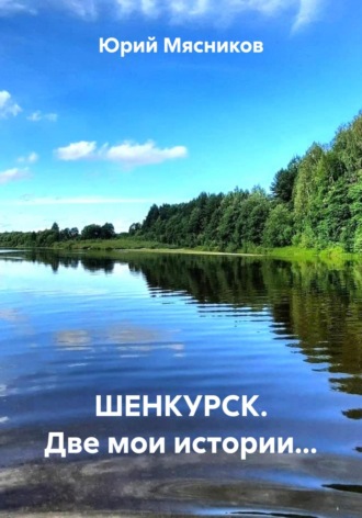 ШЕНКУРСК. Две мои истории…. Юрий Мясников