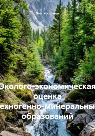 Олег Вениаминович Косолапов. Эколого-экономическая оценка техногенно-минеральных образований