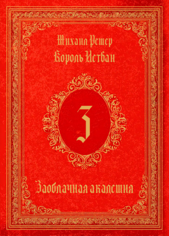 Король Истван. Книга 3. Заоблачная Академия. 