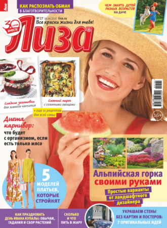 . Журнал «Лиза» №27/2025