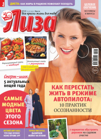 Журнал «Лиза» №29/2025. 