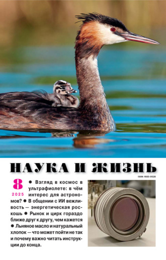 Наука и жизнь №08/2025. 