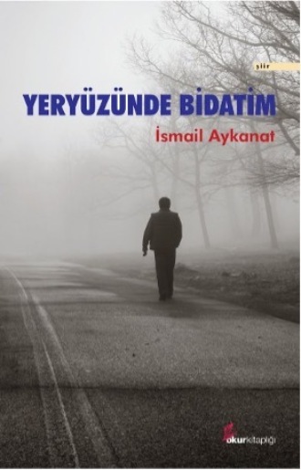 Aykanat İsmail. Yeryüzünde bidatim