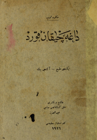 Dağa çıkan kurt. Halide Edib Adıvar