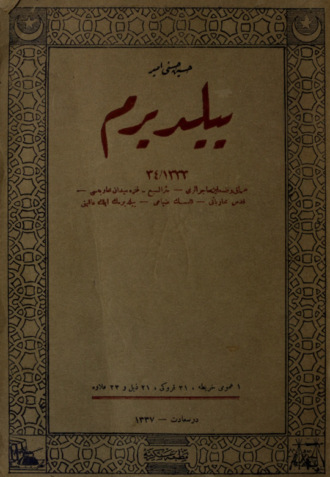 H. Emir Erkilet. Yıldırım