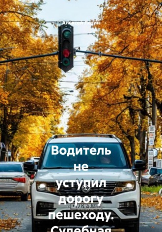 Алексей Владимирович Лезин. Водитель не уступил дорогу пешеходу. Судебная практика кассационных судов