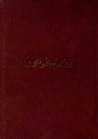Reşat Nuri Güntekin. Akşam güneşi