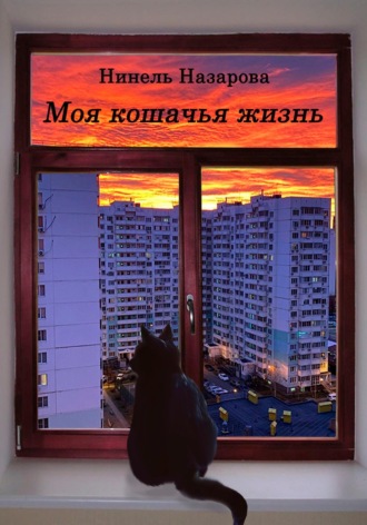 Cross Time. Моя кошачья жизнь