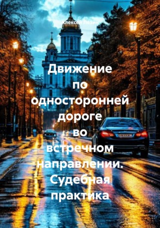 Алексей Владимирович Лезин. Движение по односторонней дороге во встречном направлении. Судебная практика