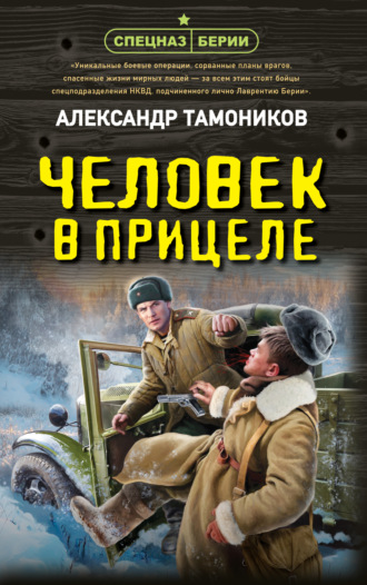Александр Тамоников. Человек в прицеле