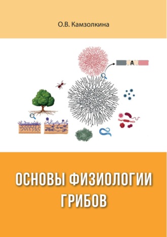 О. В. Камзолкина. Основы физиологии грибов