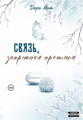 Связь, запретная прошлым. Дари Мит