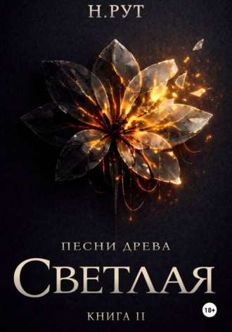 Наташа Рут. Светлая. Книга 2