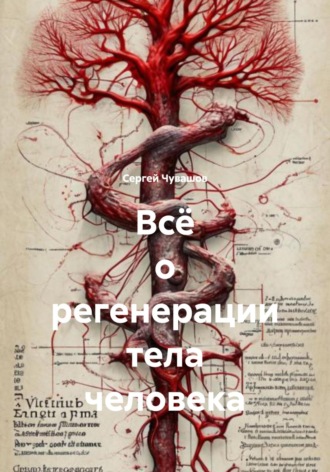 Сергей Чувашов. Всё о регенерации тела человека