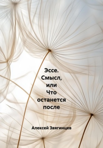 Алексей Звягинцев. Эссе. Смысл, или Что останется после