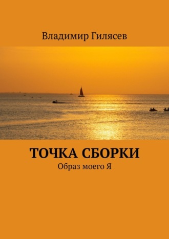 Владимир Гилясев. Точка сборки. Образ моего Я