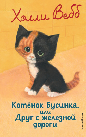 Котёнок Бусинка, или Друг с железной дороги. 