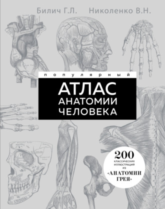 Габриэль Билич. Популярный атлас анатомии человека. 200 классических иллюстраций из «Анатомии Грея»