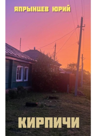 Кирпичи. Юрий Анатольевич Япрынцев