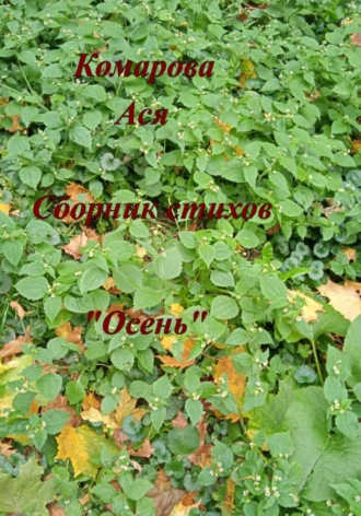 Ася Комарова. Осень. Сборник стихов