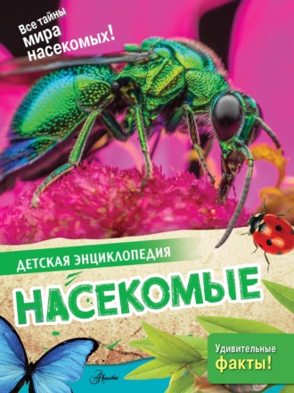 Насекомые. 
