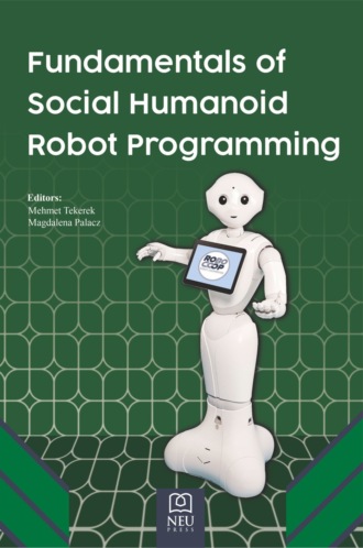 FUNDAMENTALS OF SOCIAL HUMANOID ROBOT PROGRAMMING. 