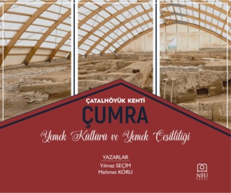 Yılmaz SEÇİM. ÇATALHÖYÜK KENTİ ÇUMRA MUTFAK KÜLTÜRÜ VE YEMEK ÇEŞİTLİLİĞİ