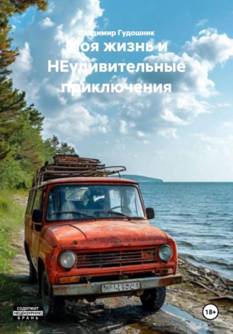 Владимир Савельевич Гудошник. Моя жизнь и НЕудивительные приключения