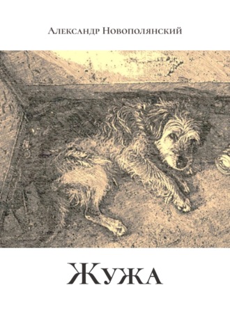 Жужа. 