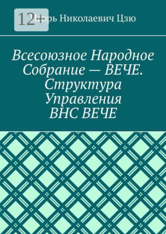Игорь Николаевич Цзю. Всесоюзное народное собрание – Вече. Структура управления ВНС Вече