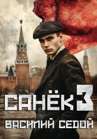 Василий Седой. Санёк 3