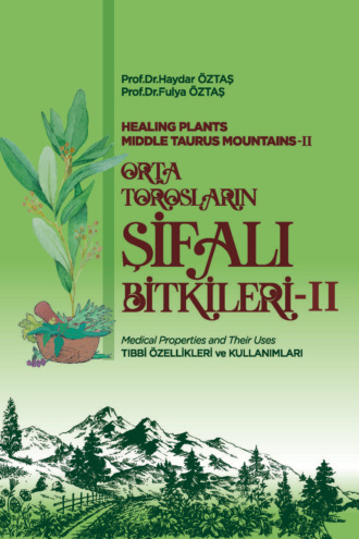 ORTA TOROSLARIN ŞİFALI BİTKİLERİ – II. авторов HBR Коллектив