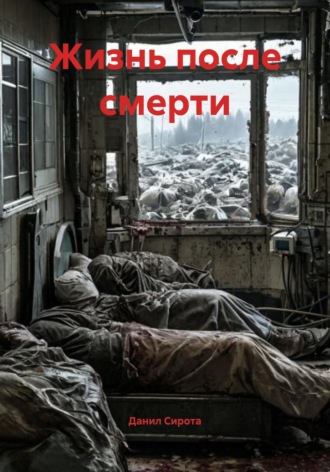 Данил Дмитриевич Сирота. Жизнь после смерти