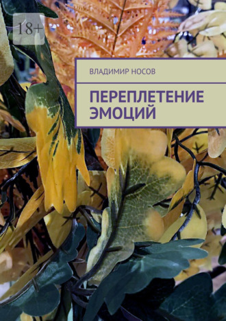 Владимир Носов. Переплетение эмоций