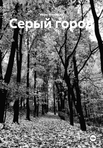 Иван Манихин. Серый город