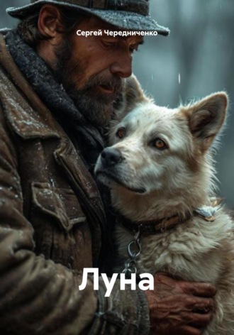 Сергей Анатольевич Чередниченко. Луна