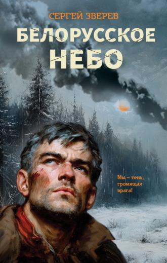 Сергей Зверев. Белорусское небо