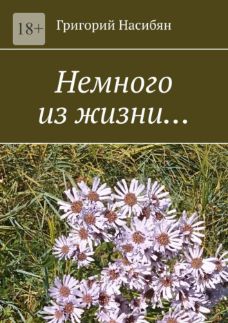 Григорий Насибян. Немного из жизни…