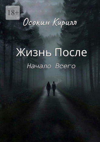 Кирилл Осокин. Жизнь После: Начало Всего