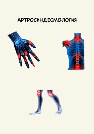 Карина Суреновна Есина. Артросиндесмология