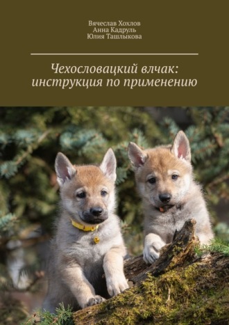 Вячеслав Хохлов. Чехословацкий влчак: инструкция по применению