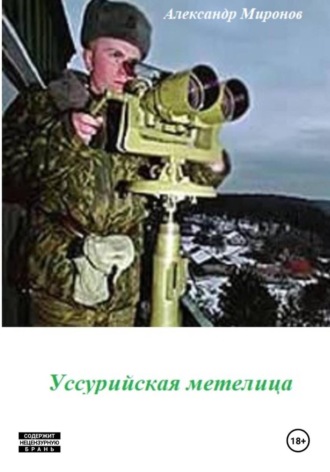 Александр Леонидович Миронов. Уссурийская метелица